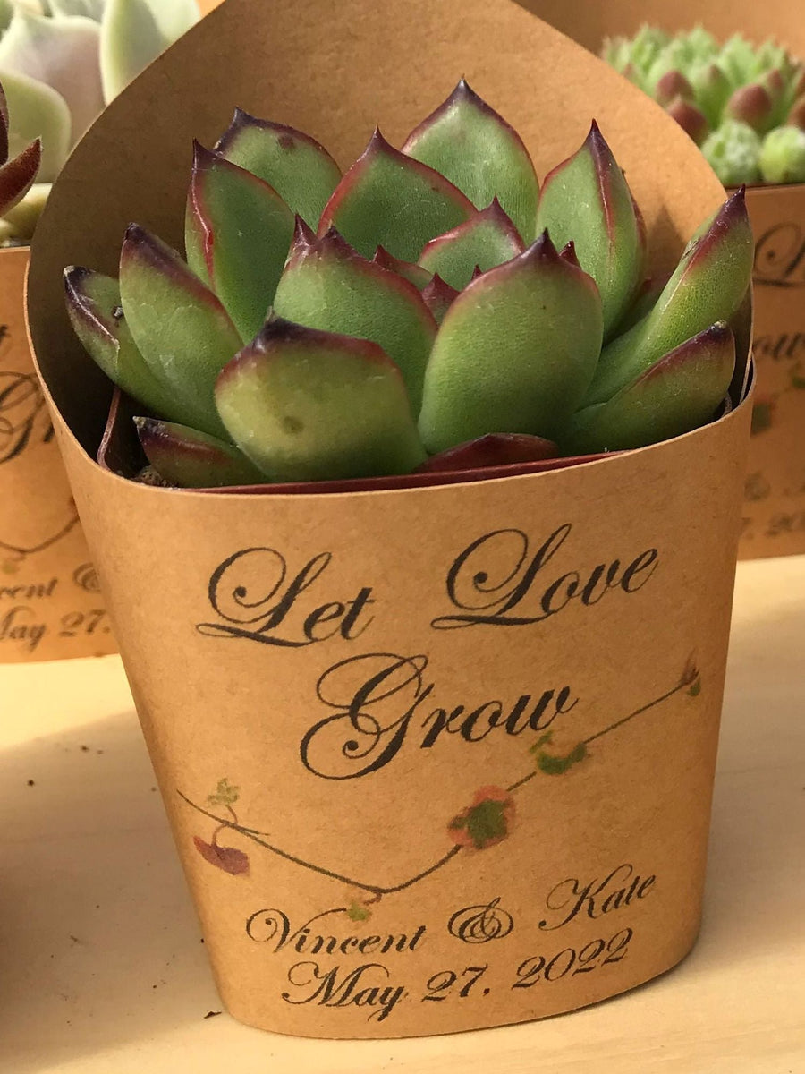 let love grow succulents Succulent Wrappers for Wedding Favors as Thank You Gift