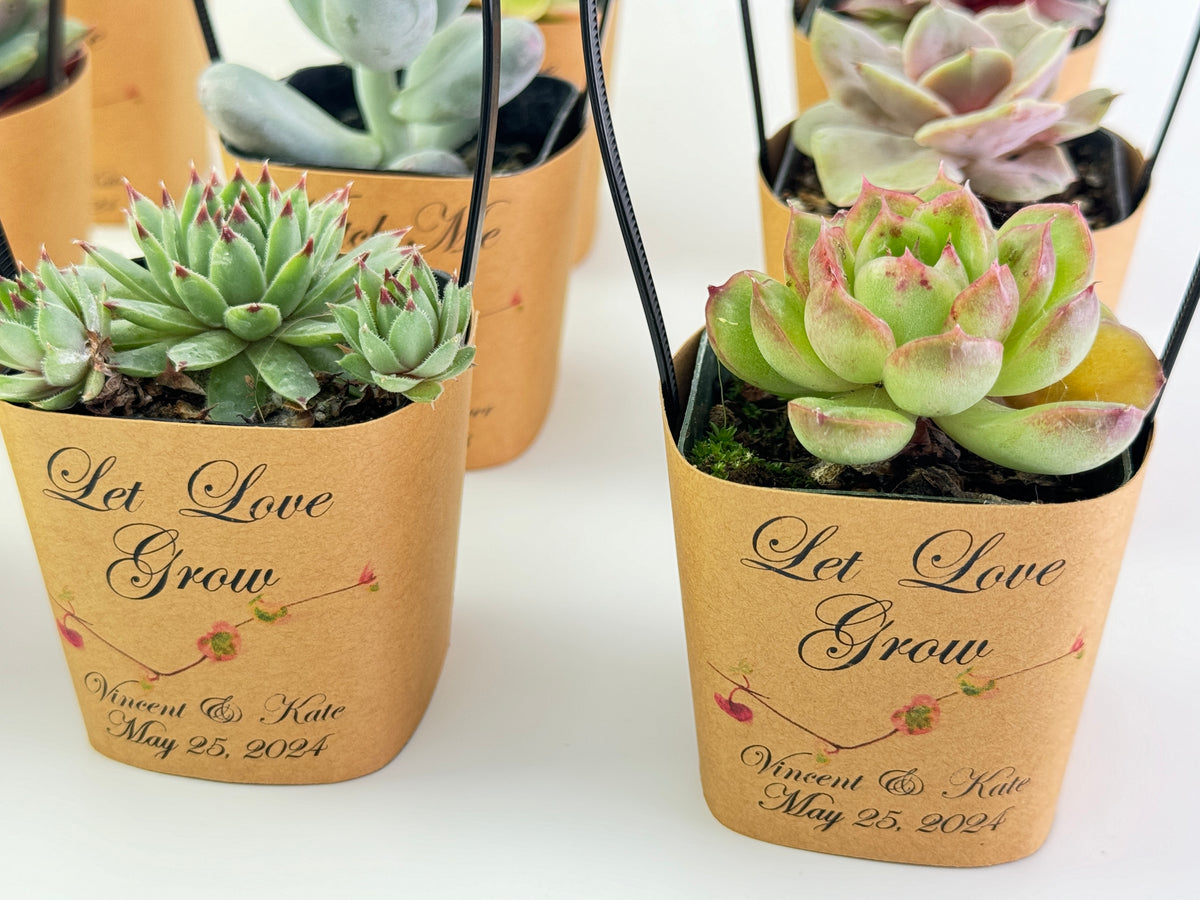 personalised succulent pots Succulent Wrappers with Handles for Wedding Favors