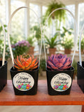 NEW! Custom Printed Succulents Pots with Handles for Happy Birthday