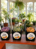 NEW! Custom Printed Succulents Pots with Handles for Happy Birthday