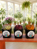 NEW! Custom Printed Succulents Pots with Handles for Happy Birthday