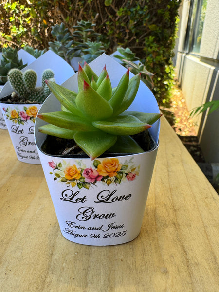 Roses Watercolor Succulent Wrappers for Wedding Favors as Thank You Gift - [plants not included]