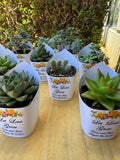 Roses Watercolor Succulent Wrappers for Wedding Favors as Thank You Gift - [plants not included]