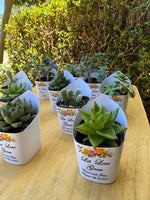 Roses Watercolor Succulent Wrappers for Wedding Favors as Thank You Gift - [plants not included]
