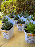 Roses Watercolor Succulent Wrappers for Wedding Favors as Thank You Gift - [plants not included]