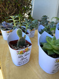 Roses Watercolor Succulent Wrappers for Wedding Favors as Thank You Gift - [plants not included]