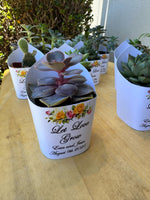 Roses Watercolor Succulent Wrappers for Wedding Favors as Thank You Gift - [plants not included]
