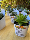 Roses Watercolor Succulent Wrappers for Wedding Favors as Thank You Gift - [plants not included]