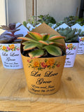Roses Watercolor Succulent Wrappers for Wedding Favors as Thank You Gift - [plants not included]