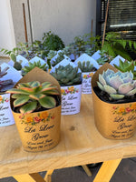 Roses Watercolor Succulent Wrappers for Wedding Favors as Thank You Gift - [plants not included]