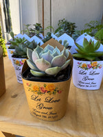 Roses Watercolor Succulent Wrappers for Wedding Favors as Thank You Gift - [plants not included]