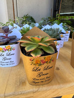 Roses Watercolor Succulent Wrappers for Wedding Favors as Thank You Gift - [plants not included]