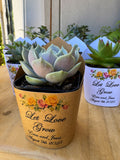 Roses Watercolor Succulent Wrappers for Wedding Favors as Thank You Gift - [plants not included]