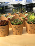 Wedding Favors Succulent Wrappers, Natural