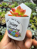 Customized Succulent Wrappers for Birthday Gift - [plants not included]