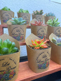 New Design Custom Succulent Wrappers for Wedding Favors - [plants not included]