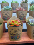 Custom Printed Kraft Wrappers with Succulents for Wedding Favors