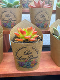 New Design Custom Succulent Wrappers for Wedding Favors - [plants not included]