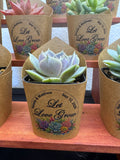 New Design Custom Succulent Wrappers for Wedding Favors - [plants not included]