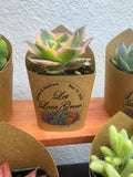 Custom Printed Kraft Wrappers with Succulents for Wedding Favors