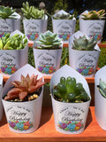 Custom Printed White Wrappers with Succulents for Birthday Gift [Pickup Only]