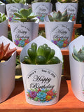 Custom Printed White Wrappers with Succulents for Birthday Gift [Pickup Only]