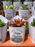Custom Printed White Wrappers with Succulents for Birthday Gift [Pickup Only]