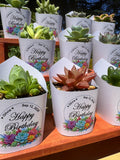 Custom Printed White Wrappers with Succulents for Birthday Gift [Pickup Only]