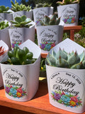 Custom Printed White Wrappers with Succulents for Birthday Gift [Pickup Only]