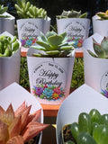 Custom Printed White Wrappers with Succulents for Birthday Gift [Pickup Only]