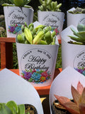 Custom Printed White Wrappers with Succulents for Birthday Gift [Pickup Only]