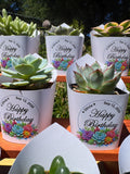 Custom Printed White Wrappers with Succulents for Birthday Gift [Pickup Only]