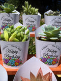 Custom Printed White Wrappers with Succulents for Birthday Gift [Pickup Only]