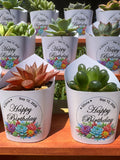 Custom Printed White Wrappers with Succulents for Birthday Gift [Pickup Only]