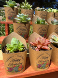 Custom Printed Kraft Wrappers with Succulents for Birthday Gift [Pickup Only]