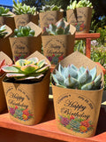 Custom Printed Kraft Wrappers with Succulents for Birthday Gift [Pickup Only]