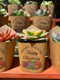 Custom Printed Kraft Wrappers with Succulents for Birthday Gift [Pickup Only]