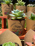 Custom Printed Kraft Wrappers with Succulents for Birthday Gift [Pickup Only]