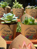 Custom Printed Kraft Wrappers with Succulents for Birthday Gift [Pickup Only]