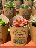 Custom Printed Kraft Wrappers with Succulents for Birthday Gift [Pickup Only]