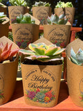 Custom Printed Kraft Wrappers with Succulents for Birthday Gift [Pickup Only]