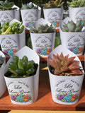 Custom Printed White Wrappers with Succulents for Wedding Favors