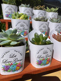 Custom Printed White Wrappers with Succulents for Wedding Favors