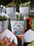 Custom Printed White Wrappers with Succulents for Wedding Favors