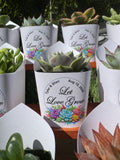Custom Printed White Wrappers with Succulents for Wedding Favors