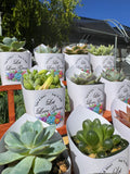 Custom Printed White Wrappers with Succulents for Wedding Favors