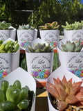 Custom Printed White Wrappers with Succulents for Wedding Favors