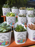 Custom Printed White Wrappers with Succulents for Wedding Favors