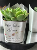 Wedding Favors Succulent Wrappers, Silver Shimmer - plants not included