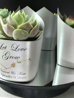 Wedding Favors Succulent Wrappers, Silver Shimmer